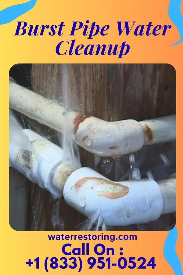 Burst Pipe Water Cleanup in Dooms, VA