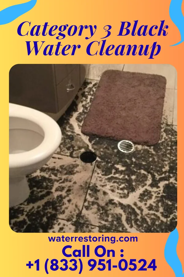 Category 3 Black Water Cleanup in Dooms, VA