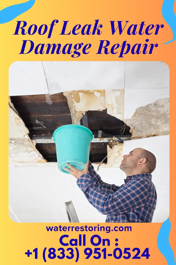 Roof Leak Water Damage Repair in Dooms, VA