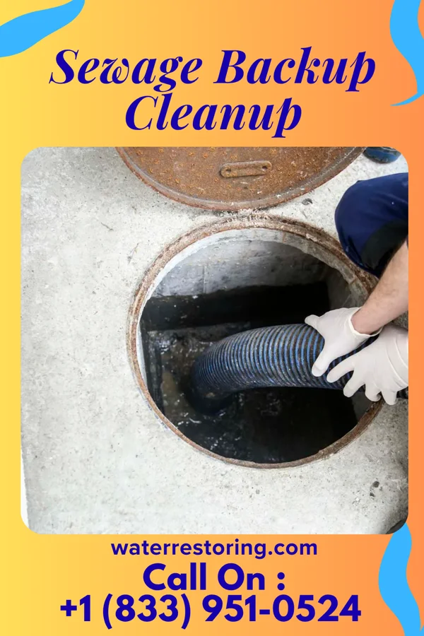 Sewage Backup Cleanup in Dooms, VA