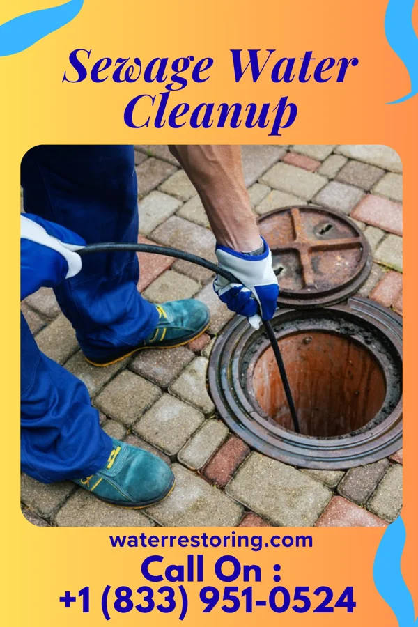 Sewage Water Cleanup in Dooms, VA