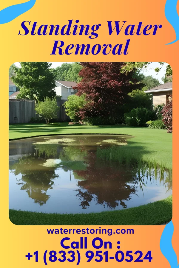 Standing Water Removal in Dooms, VA